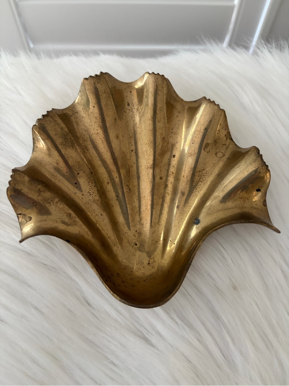 Brass Shell Dish - Decorative Scallop dish